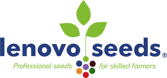 Lenovo Seeds