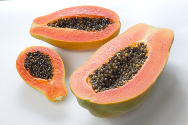 Papaya Maradol Onetech