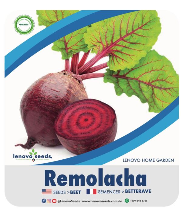 Remolacha
